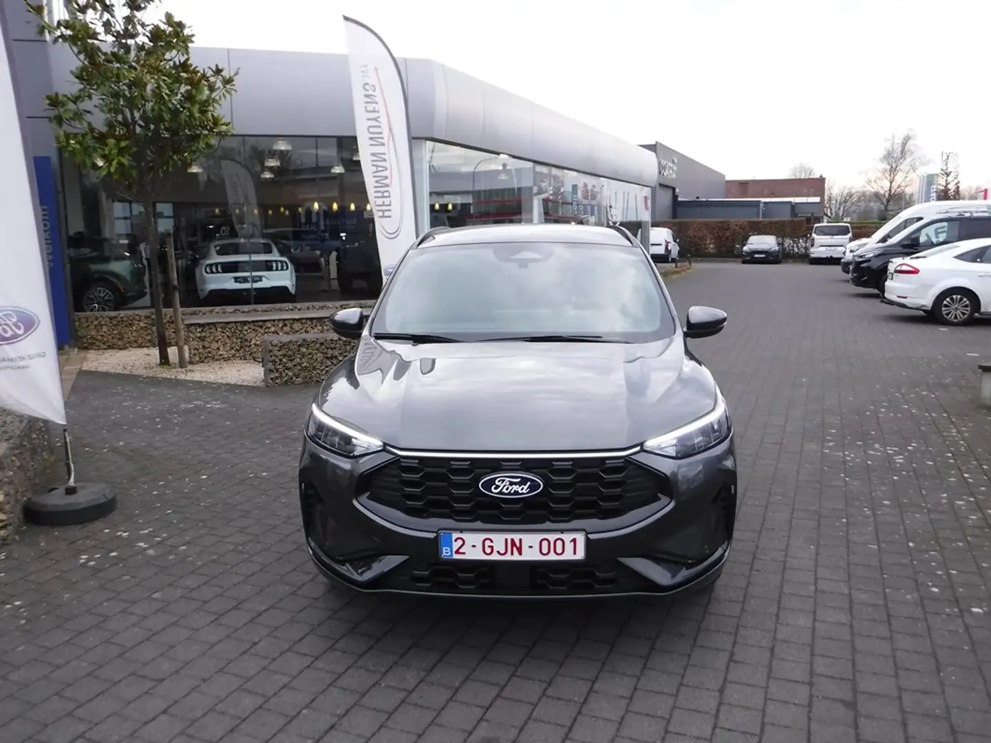 Ford Kuga ST-Line PHEV AUT Gris - 2