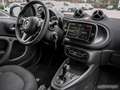 smart forTwo EQ Exclusive Cool Silver LAST ONE Kamera Silber - thumbnail 4