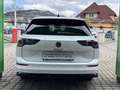 Volkswagen Golf 1.5 TSI 85 kW Weiß - thumbnail 4