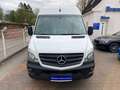 Mercedes-Benz Sprinter 313 CDi Kamera,Navi,Klima,Stdh,SH,1Hd. Weiß - thumbnail 2