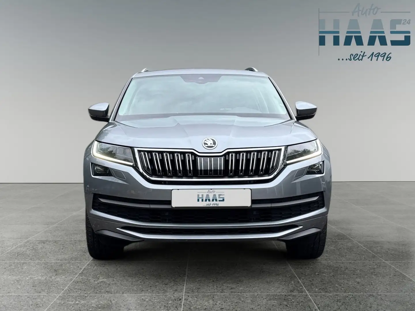 Skoda Kodiaq L&K 4x4 2.0 TDI DSG - AHK*360*NAV*LEDER!! Grau - 2