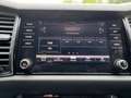 Skoda Kodiaq L&K 4x4 2.0 TDI DSG - AHK*360*NAV*LEDER!! Grau - thumbnail 16