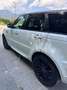 Land Rover Range Rover Sport 3,0 TDV6 HSE Weiß - thumbnail 7