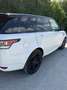Land Rover Range Rover Sport 3,0 TDV6 HSE Weiß - thumbnail 8