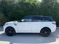 Land Rover Range Rover Sport 3,0 TDV6 HSE Weiß - thumbnail 6