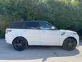 Land Rover Range Rover Sport 3,0 TDV6 HSE Weiß - thumbnail 5