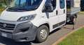 Fiat Ducato MAXI 35 LH1 2.3 MTJ CASSONE FISSO E GRU Bianco - thumbnail 9