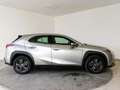 Lexus UX 250h Business Navigation 4WD Silber - thumbnail 17