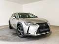 Lexus UX 250h Business Navigation 4WD Silber - thumbnail 19