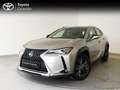Lexus UX 250h Business Navigation 4WD Silber - thumbnail 1