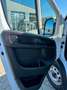 Fiat Ducato Maxi Doka 35 180 L4 White - thumbnail 10