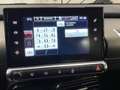Citroen C4 Cactus 1.2 PT BUSINESS PLUS NAVI CAMERA STOELVERW NIEUWE Grijs - thumbnail 20