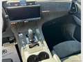 DS Automobiles DS 7 Crossback DS 7 Crossback E-Tense 4x4 Perform. Line Gris - thumbnail 15