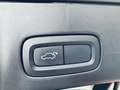 Volvo V90 T8 Business Plus Twin AWD Gris - thumbnail 28