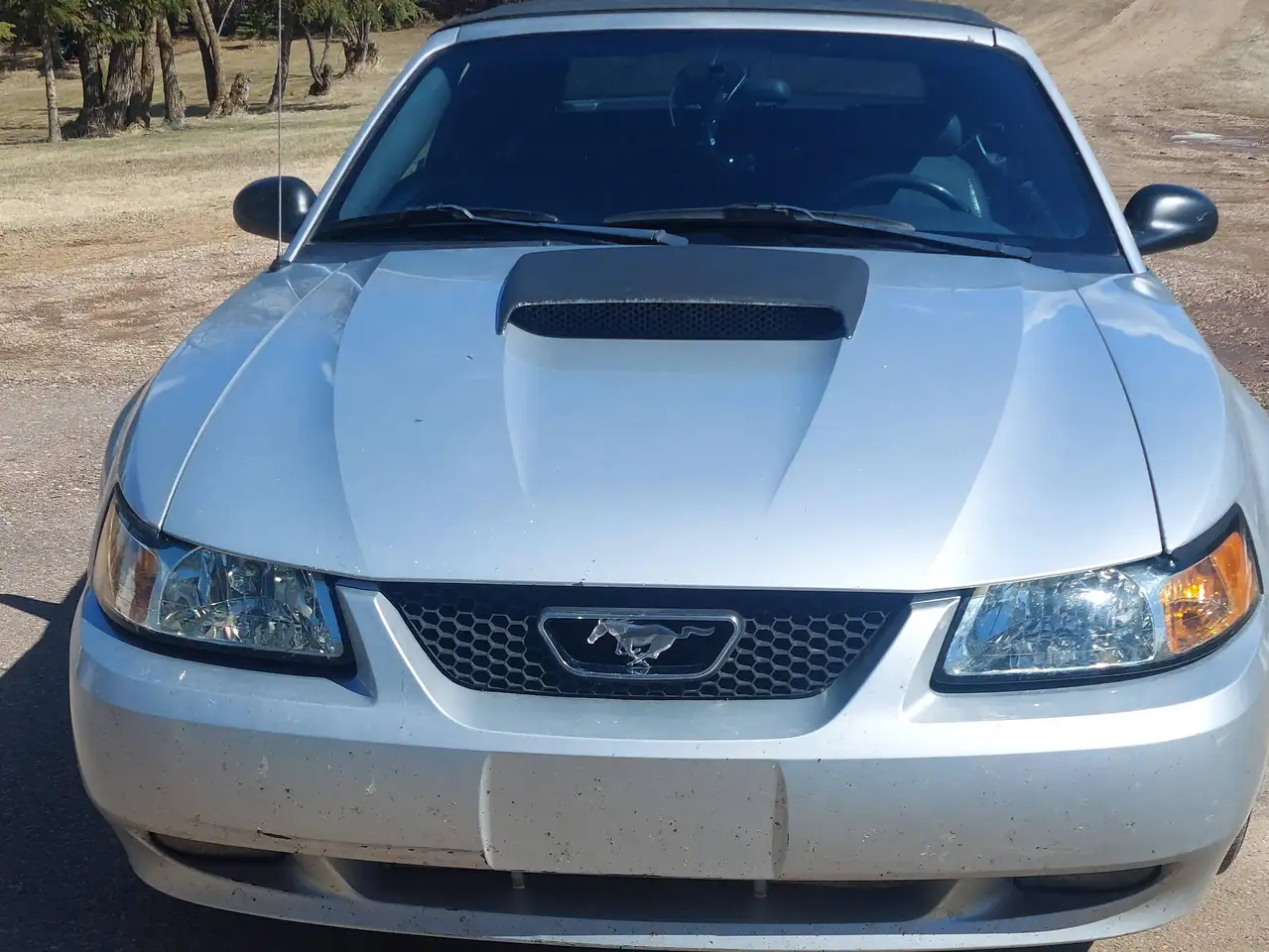 Ford Mustang снимка Ford Mustang