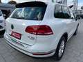 Volkswagen Touareg V6 TDI *Memory*ACC*Navi*Luft*R-Line* Blanc - thumbnail 7