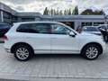 Volkswagen Touareg V6 TDI *Memory*ACC*Navi*Luft*R-Line* Blanc - thumbnail 8