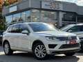Volkswagen Touareg V6 TDI *Memory*ACC*Navi*Luft*R-Line* Blanc - thumbnail 1