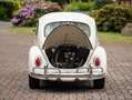 Volkswagen Käfer VW Käfer1200,Perlweiß, mit Plattenspieler Weiß - thumbnail 17