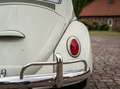 Volkswagen Käfer VW Käfer1200,Perlweiß, mit Plattenspieler Weiß - thumbnail 14