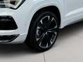 CUPRA Ateca 1.5 tsi 150cv dsg Weiß - thumbnail 7