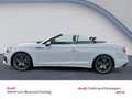 Audi A5 Cabriolet S-line 45 TFSI quattro S-tronic MATRI... Weiß - thumbnail 15