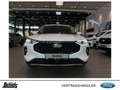 Ford Kuga 2.5 Duratec PHEV TITANIUM WINTER-PKT. NAVI R-KAM Blanc - thumbnail 2