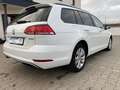 Volkswagen Golf 1.5 TGI BlueM. DSG Comfortline Variant Wit - thumbnail 15