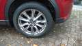 Mazda CX-5 SKYACTIV-G 194 Kangei Automatik AHK Navi Rouge - thumbnail 6