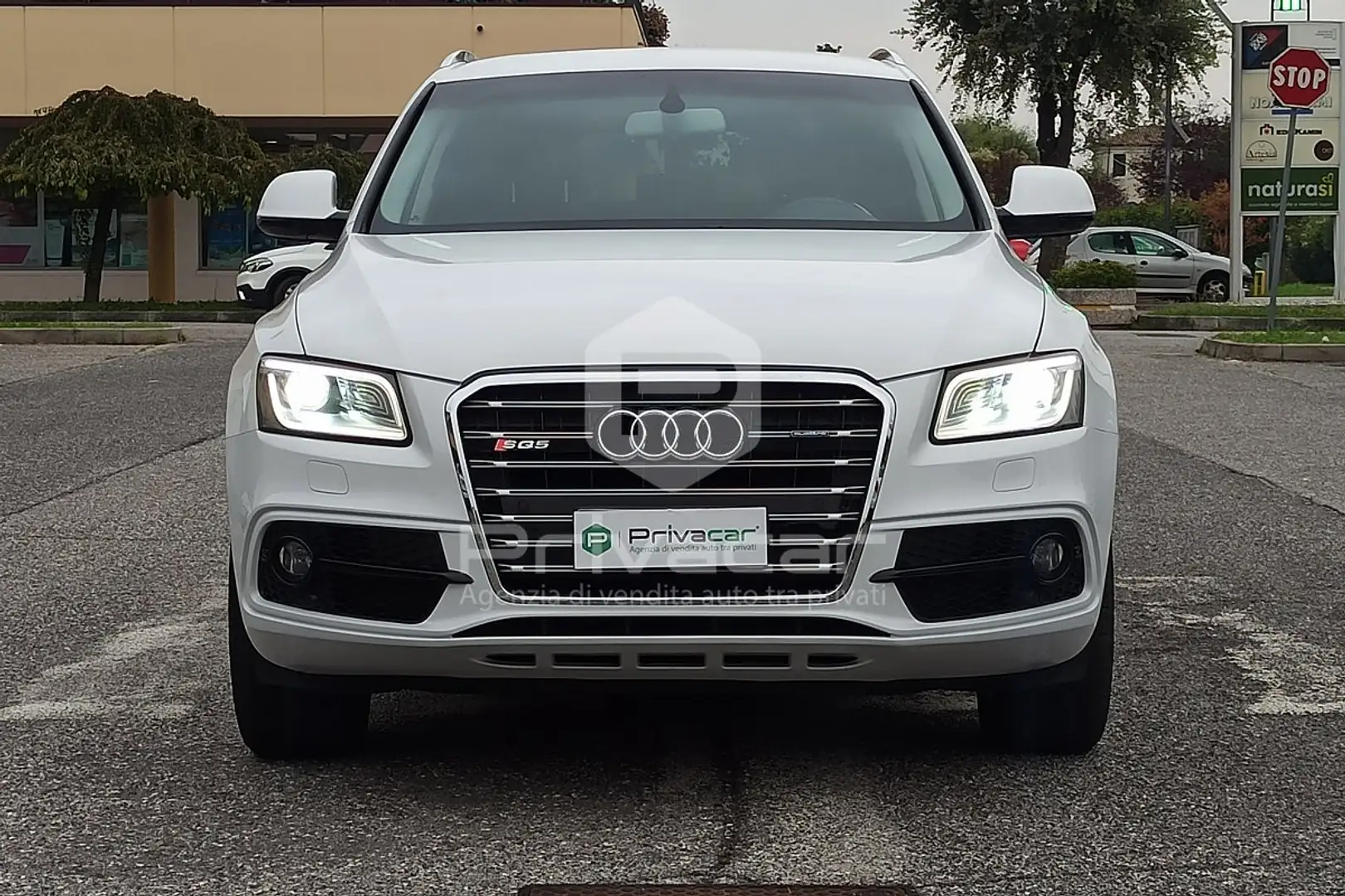 Audi Q5 190 CV clean diesel quattro S tr. Adv Plus S LINE Bianco - 2