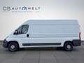 Fiat Ducato Maxi 2.3 Multijet 180 L4H2 4035mm KAMERA Weiß - thumbnail 7
