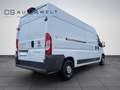 Fiat Ducato Maxi 2.3 Multijet 180 L4H2 4035mm KAMERA Weiß - thumbnail 4