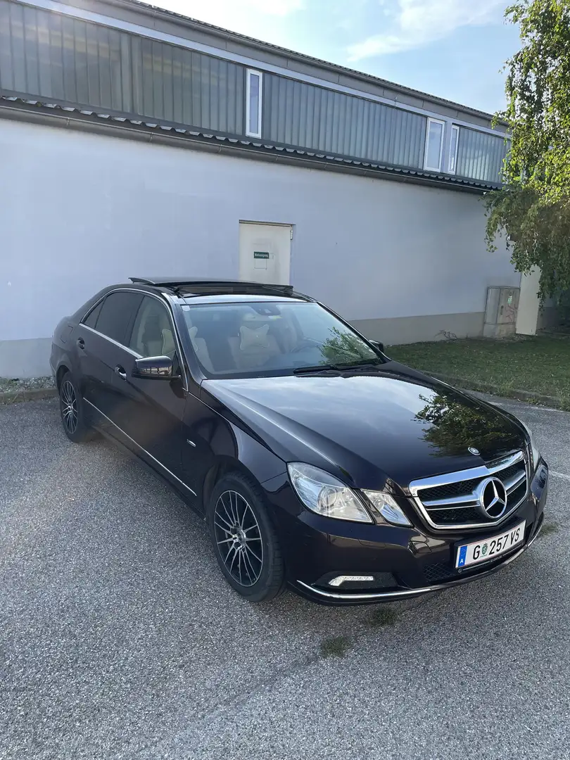 Mercedes-Benz E 250 Braun - 1