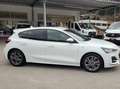 Ford Focus ST-Line Blanc - thumbnail 7