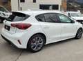 Ford Focus ST-Line Blanc - thumbnail 6