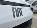 Fiat Scudo KASTENWAGEN L2 1.5 120MT Blanc - thumbnail 13