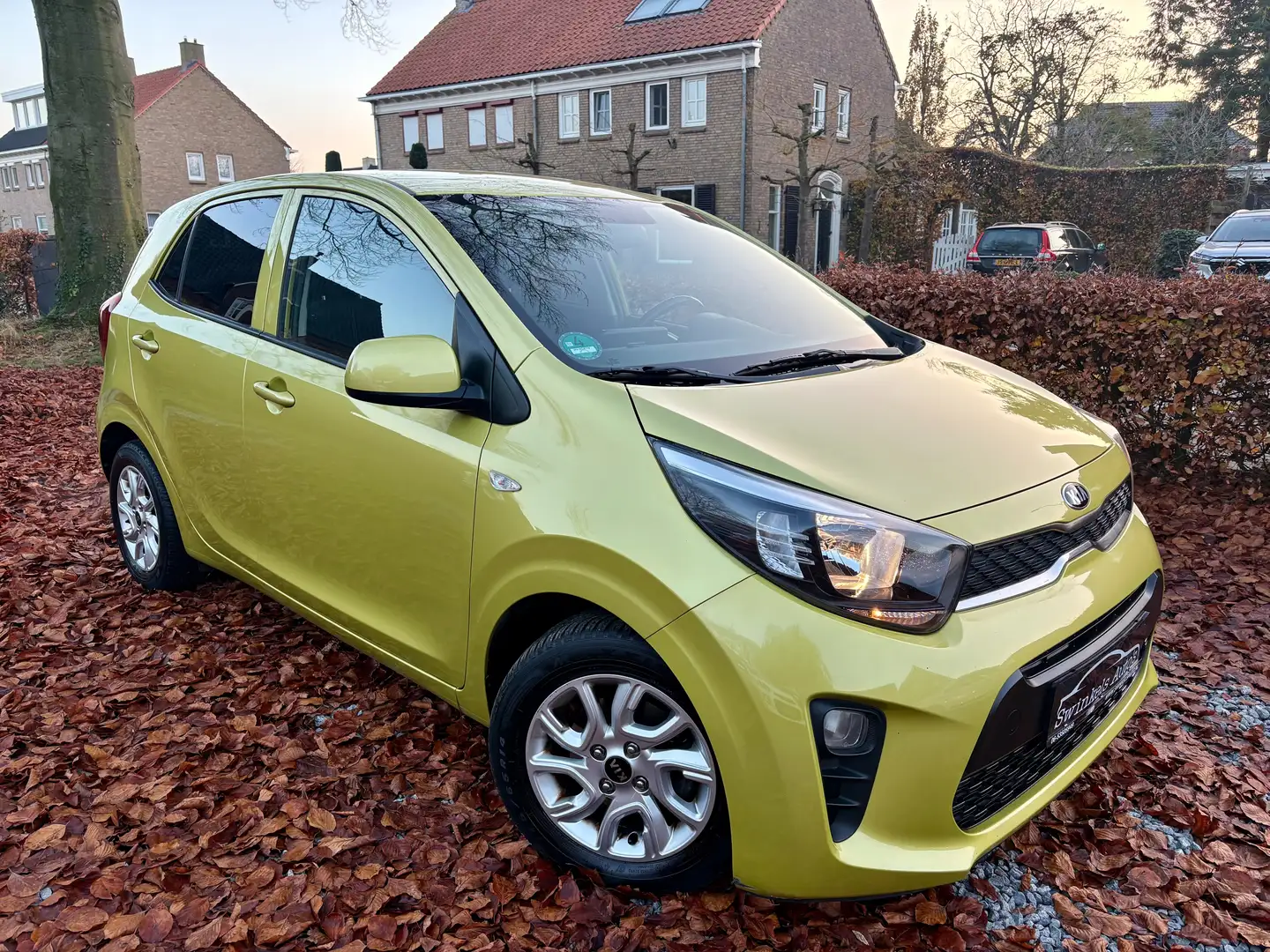 Kia Picanto 1.0 CVVT-apple/Androïd-Camera-Cruise-LED-stoelv Verde - 2