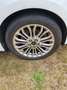 Ford Focus Focus Turnier 1.0 EcoBoost Start-Stopp-System COOL Weiß - thumbnail 9