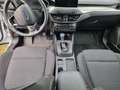 Ford Focus Focus Turnier 1.0 EcoBoost Start-Stopp-System COOL Weiß - thumbnail 7
