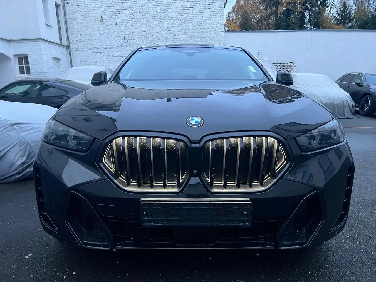 BMW X6 xDrive30d M Sport*Carbon*Aktivlenkung*Luft* 10