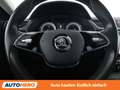 Skoda Superb 2.0 TDI Style Blau - thumbnail 19