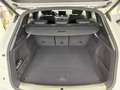 Audi Q5 45 TFSI Quattro S line Edition One S tronic Weiß - thumbnail 12