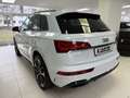 Audi Q5 45 TFSI Quattro S line Edition One S tronic Weiß - thumbnail 6