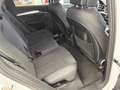 Audi Q5 45 TFSI Quattro S line Edition One S tronic Weiß - thumbnail 11
