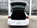 SEAT Leon 1.0 TSI S&S Style 25º Aniversario 110 Wit - thumbnail 19