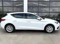 SEAT Leon 1.0 TSI S&S Style 25º Aniversario 110 Wit - thumbnail 14