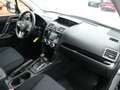 Subaru Forester Exclusive *4x4*Standheizung*Automatik*Panorama* siva - thumbnail 9