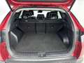 Hyundai TUCSON 1.6 T-GDI HEV PREMIUM | NAVI | REMOTE PARKING ASSI Rouge - thumbnail 21