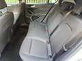 Ford Focus 1,0 EcoBoost Trend Weiß - thumbnail 8
