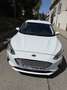 Ford Focus 1,0 EcoBoost Trend Weiß - thumbnail 4